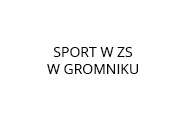 Logo Sport w ZS w Gromniku